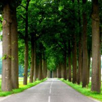 unknown_path_ahead_img