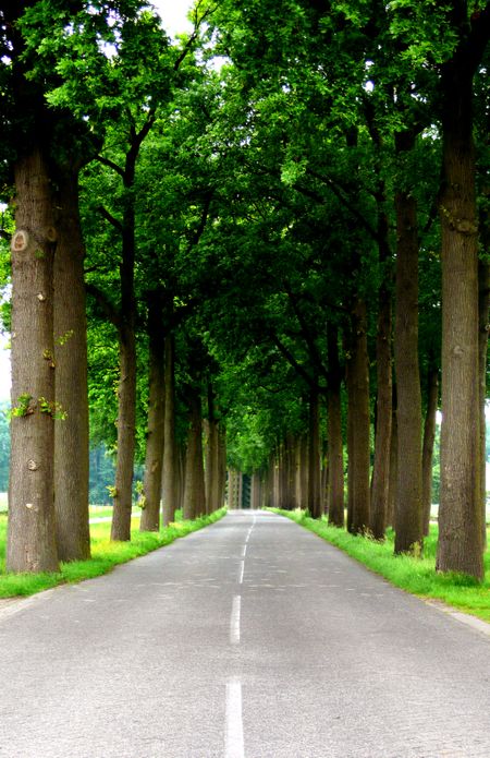unknown_path_ahead_img